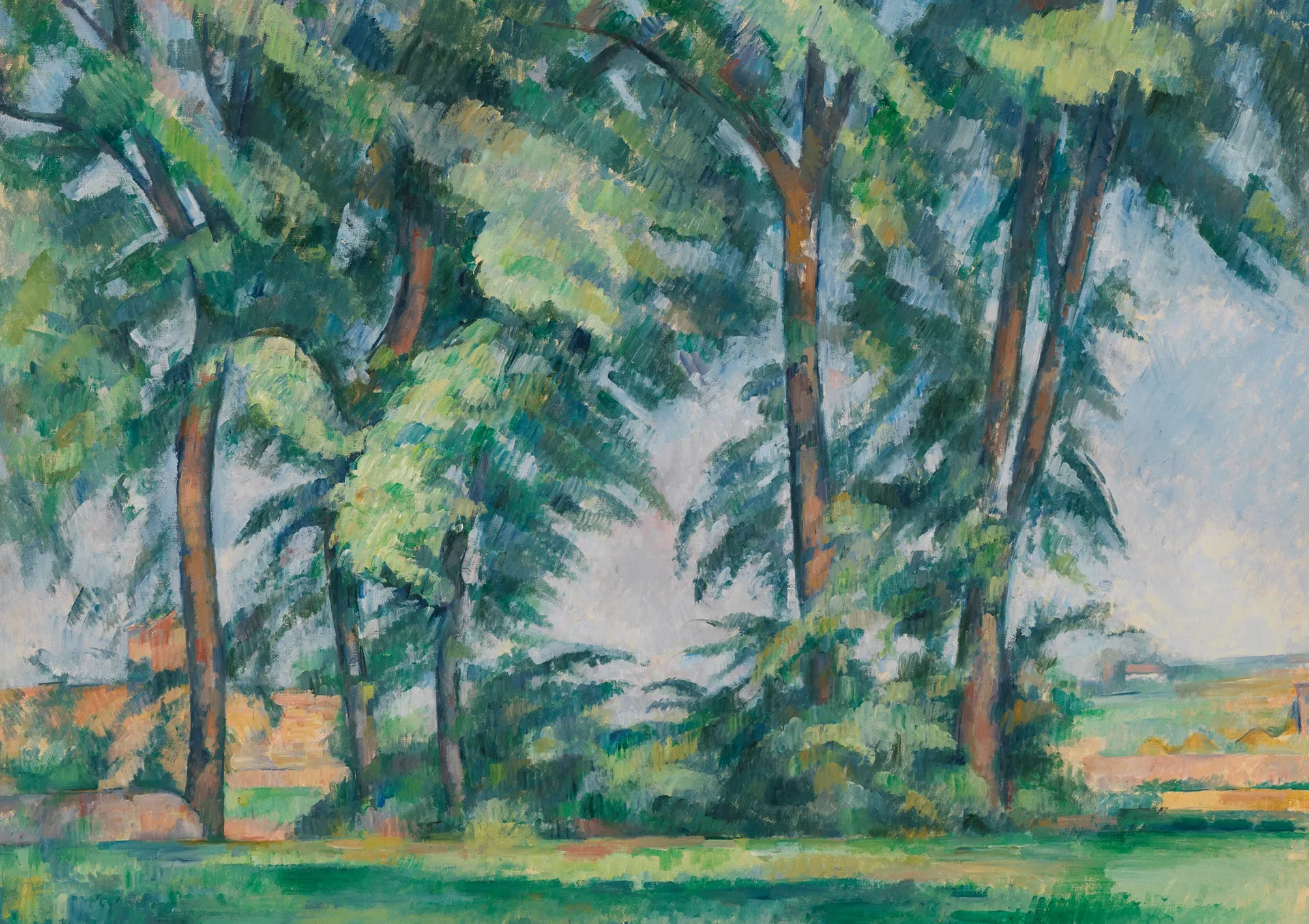 Cézanne Tall Trees Greetings Card