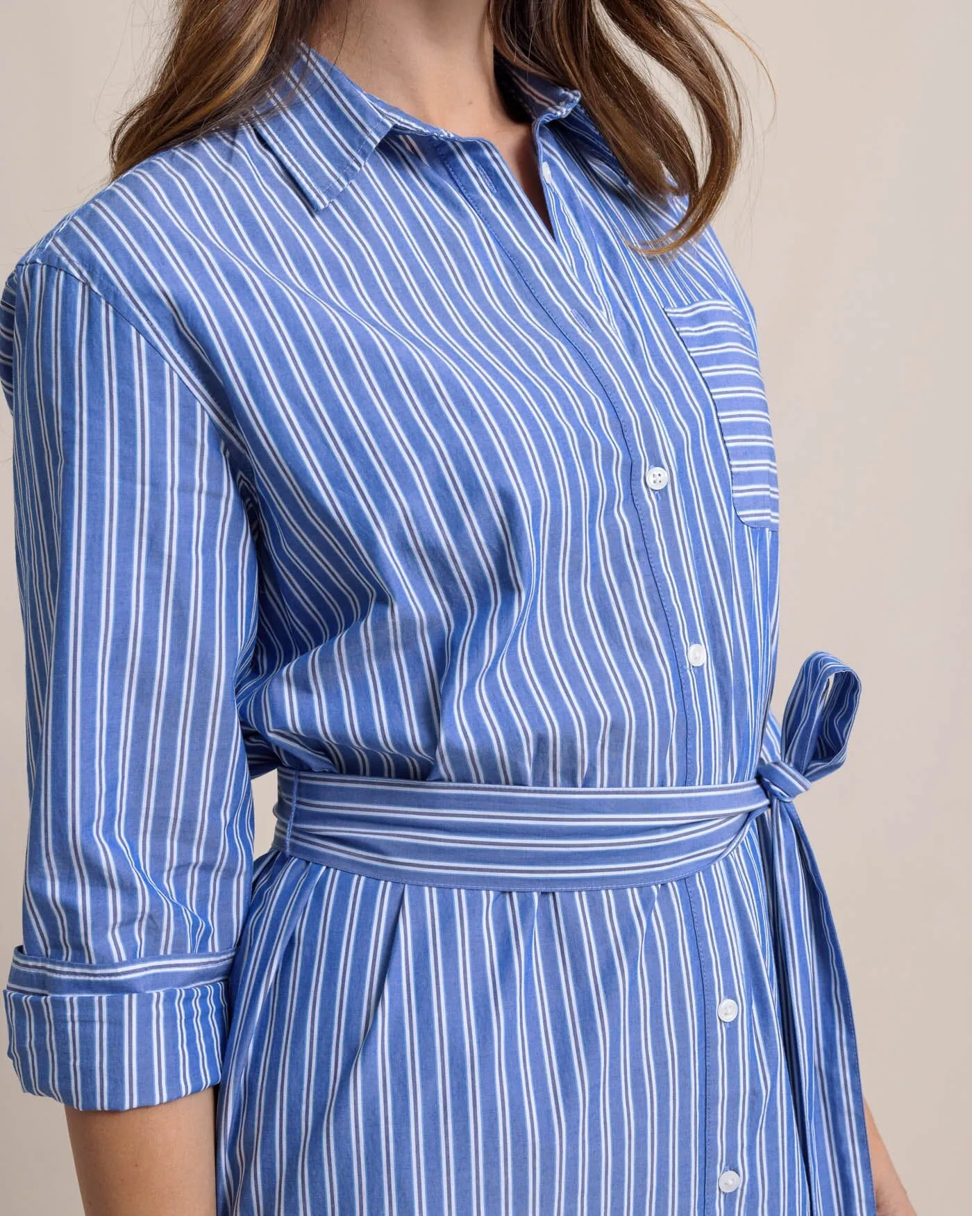 Farren Striped Shirt Dress